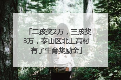 二孩奖2万，三孩奖3万，泰山区北上高村有了生育奖励金