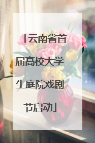 云南省首届高校大学生庭院戏剧节启动