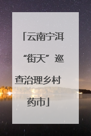 云南宁洱“街天”巡查治理乡村药市