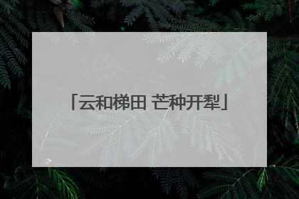 云和梯田 芒种开犁