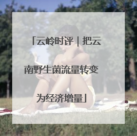 云岭时评｜把云南野生菌流量转变为经济增量