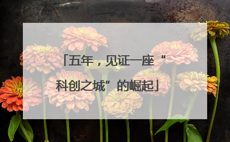 五年，见证一座“科创之城”的崛起