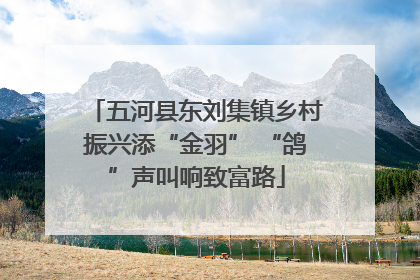 五河县东刘集镇乡村振兴添“金羽” “鸽”声叫响致富路