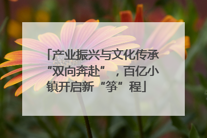 产业振兴与文化传承“双向奔赴”，百亿小镇开启新“筝”程