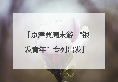 京津冀周末游 “银发青年”专列出发