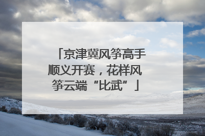京津冀风筝高手顺义开赛，花样风筝云端“比武”