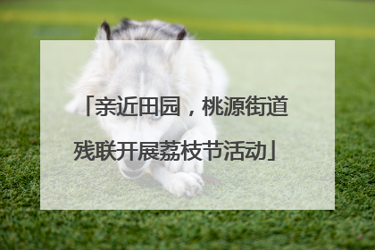 亲近田园，桃源街道残联开展荔枝节活动