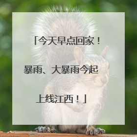 今天早点回家！暴雨、大暴雨今起上线江西！