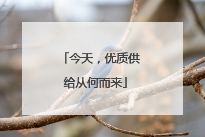 今天，优质供给从何而来