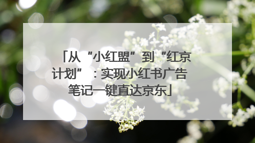 从“小红盟”到“红京计划”：实现小红书广告笔记一键直达京东