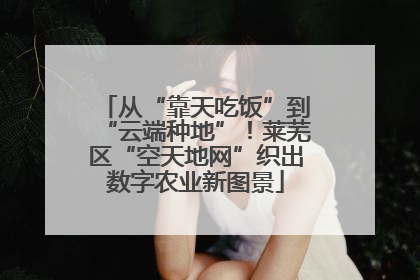 从“靠天吃饭”到“云端种地”！莱芜区“空天地网”织出数字农业新图景