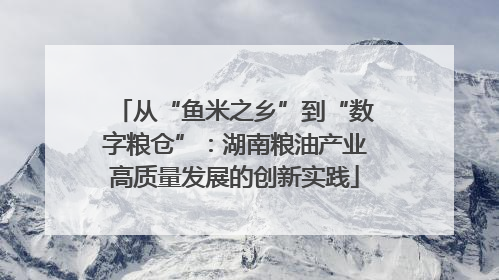 从“鱼米之乡”到“数字粮仓”：湖南粮油产业高质量发展的创新实践