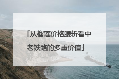 从榴莲价格腰斩看中老铁路的多重价值