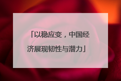 以稳应变，中国经济展现韧性与潜力