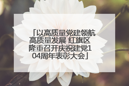 以高质量党建领航高质量发展 红旗区隆重召开庆祝建党104周年表彰大会