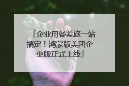企业用餐差旅一站搞定！鸿蒙版美团企业版正式上线