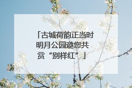 古城荷韵正当时 明月公园邀您共赏“别样红”