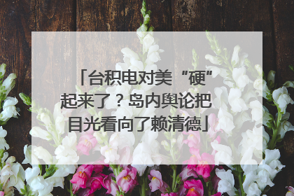 台积电对美“硬”起来了？岛内舆论把目光看向了赖清德