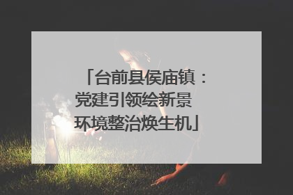 台前县侯庙镇：党建引领绘新景 环境整治焕生机
