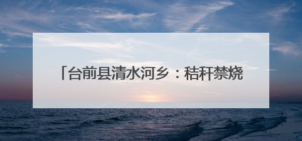 台前县清水河乡：秸秆禁烧护生态 三夏生产保丰收
