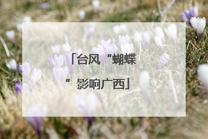 台风“蝴蝶”影响广西