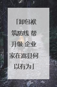 卸包袱 筑防线 帮升级 企业家在嵩县何以有为