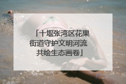 十堰张湾区花果街道守护文明河流 共绘生态画卷