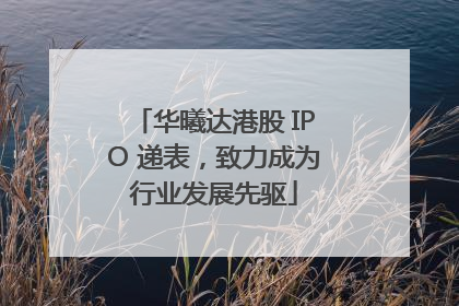 华曦达港股 IPO 递表，致力成为行业发展先驱
