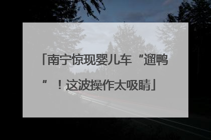 南宁惊现婴儿车“遛鸭”！这波操作太吸睛