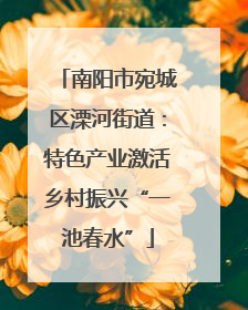 南阳市宛城区溧河街道：特色产业激活乡村振兴“一池春水”