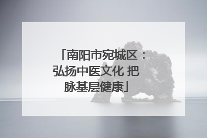 南阳市宛城区：弘扬中医文化 把脉基层健康