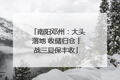 南阳邓州：大头落地 收储归仓丨战三夏保丰收