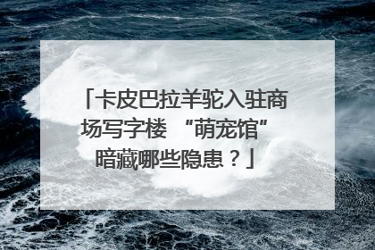 卡皮巴拉羊驼入驻商场写字楼 “萌宠馆”暗藏哪些隐患？