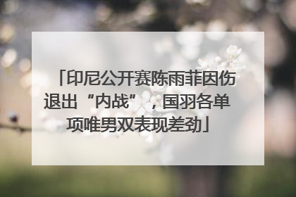 印尼公开赛陈雨菲因伤退出“内战”，国羽各单项唯男双表现差劲
