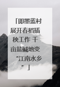 即墨蓝村展开春稻插秧工作 千亩盐碱地变“江南水乡”