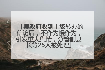 县政府收到上级转办的信访后，不作为慢作为，引发重大舆情，分管副县长等25人被处理