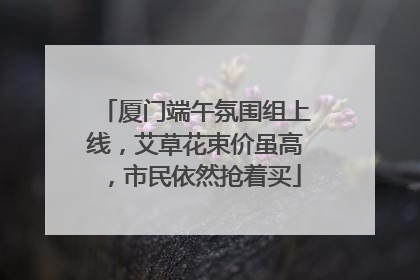厦门端午氛围组上线，艾草花束价虽高，市民依然抢着买