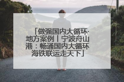 做强国内大循环·地方案例丨宁波舟山港：畅通国内大循环海铁联运走天下