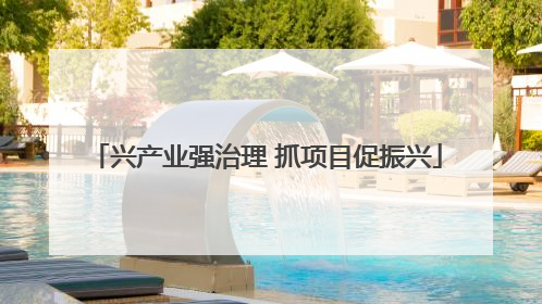 兴产业强治理 抓项目促振兴