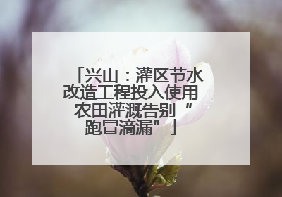 兴山：灌区节水改造工程投入使用 农田灌溉告别“跑冒滴漏”