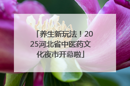 养生新玩法！2025河北省中医药文化夜市开幕啦