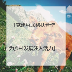 党建互联帮扶合作 为乡村发展注入活力