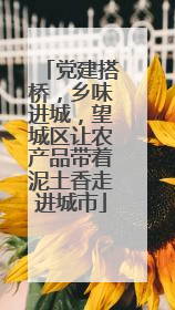 党建搭桥，乡味进城，望城区让农产品带着泥土香走进城市