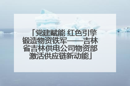 党建赋能 红色引擎锻造物资铁军——吉林省吉林供电公司物资部激活供应链新动能