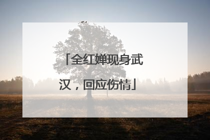 全红婵现身武汉，回应伤情