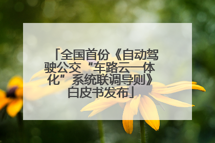 全国首份《自动驾驶公交“车路云一体化”系统联调导则》白皮书发布