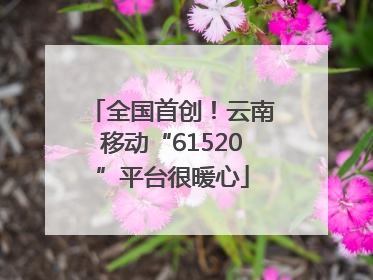 全国首创！云南移动“61520”平台很暖心