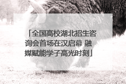 全国高校湖北招生咨询会首场在汉启幕 融媒赋能学子高光时刻
