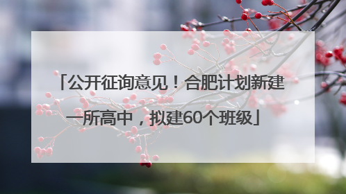 公开征询意见！合肥计划新建一所高中，拟建60个班级