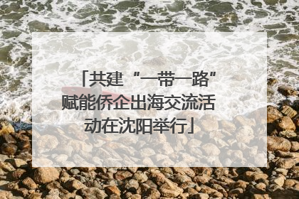 共建“一带一路”赋能侨企出海交流活动在沈阳举行
